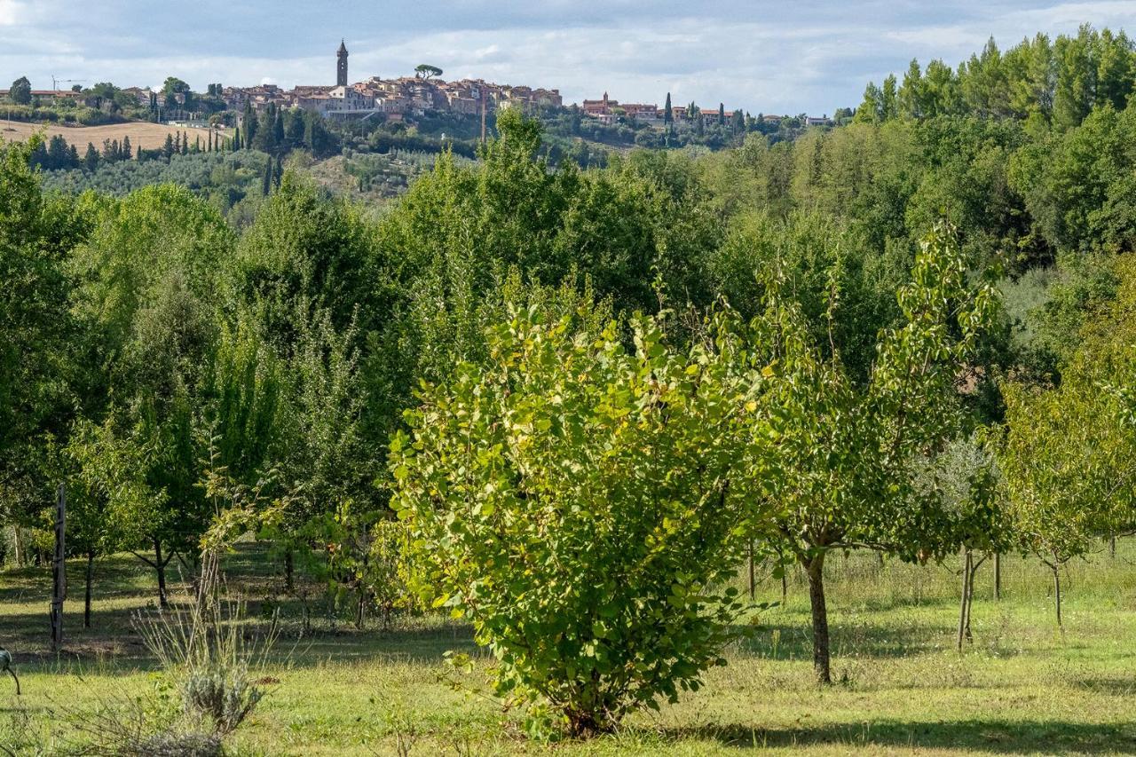 Agriturismo La Valle Peccioli Екстериор снимка